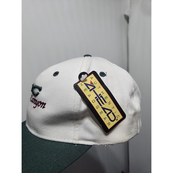 Steele Canyon VTG Golf Club California Strapback Baseball Hat Cap NWT 27 Holes - Picture 9 of 9